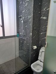 The Hillier (D23), Apartment #500396751